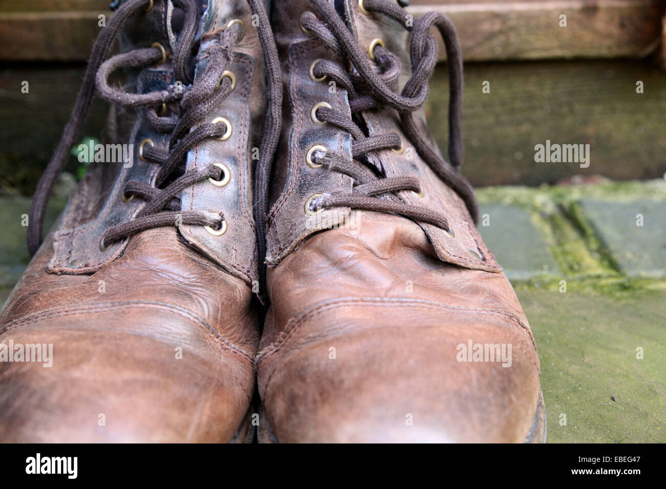 british tan boots