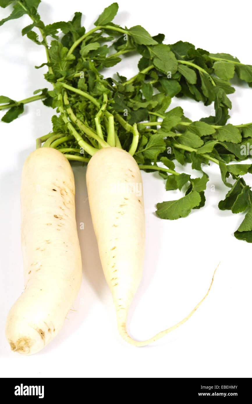 Oblong white radish with green leaves on a white background Stock Photo