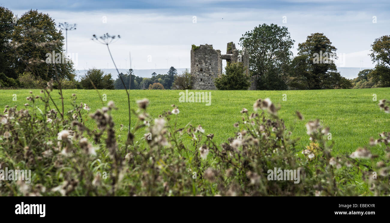 Old Crom Castle ruins, County Fermanagh, Northern Ireland. Stock Photo