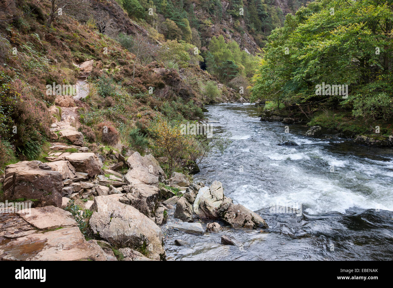 The Afon (river) Glaslyn as it passes through the Aberglaslyn Pass near Beddgelert in Snowdonia, North Wales. Stock Photo