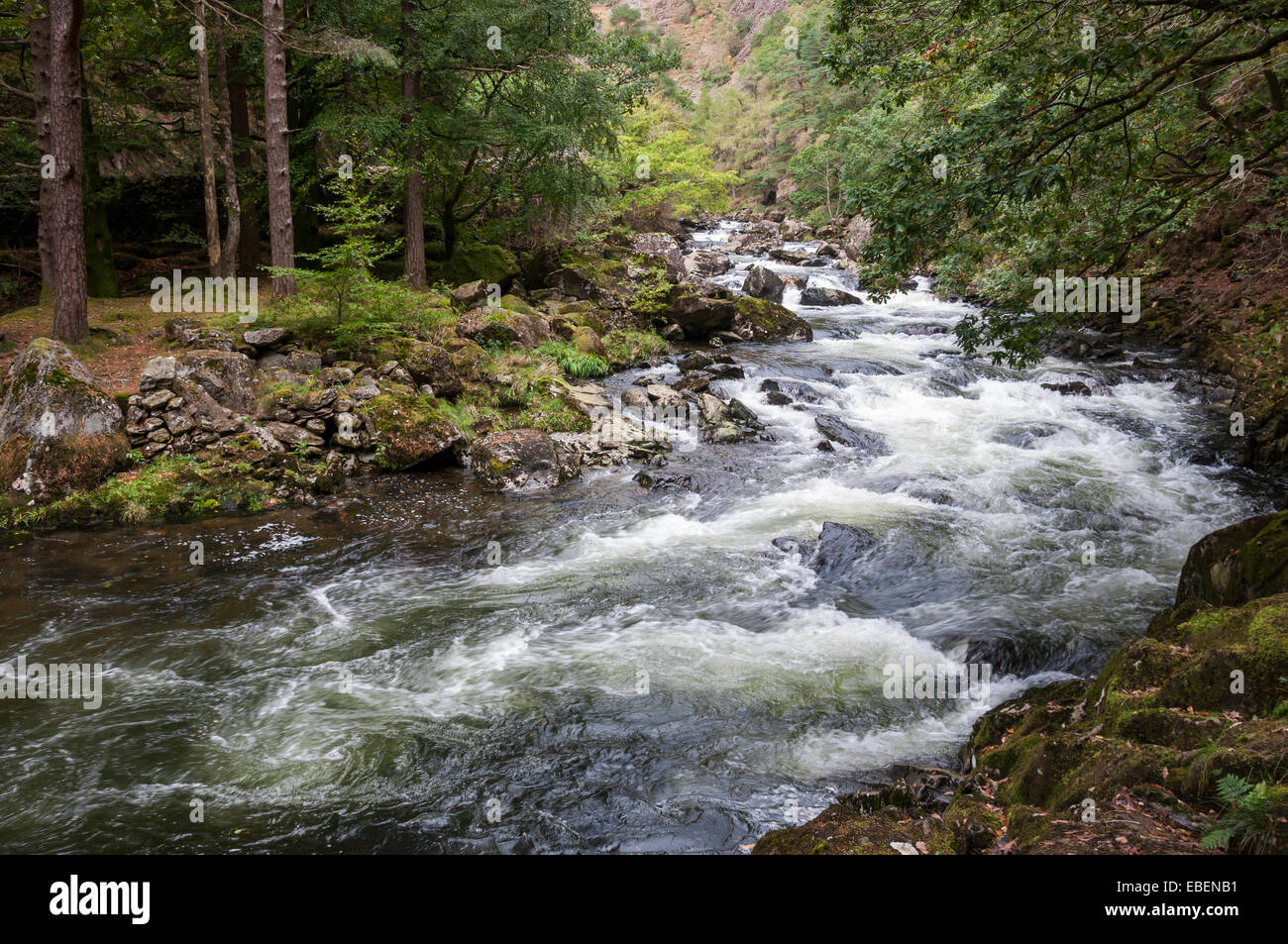 The Afon (river) Glaslyn as it passes through the Aberglaslyn Pass near Beddgelert in Snowdonia, North Wales. Stock Photo