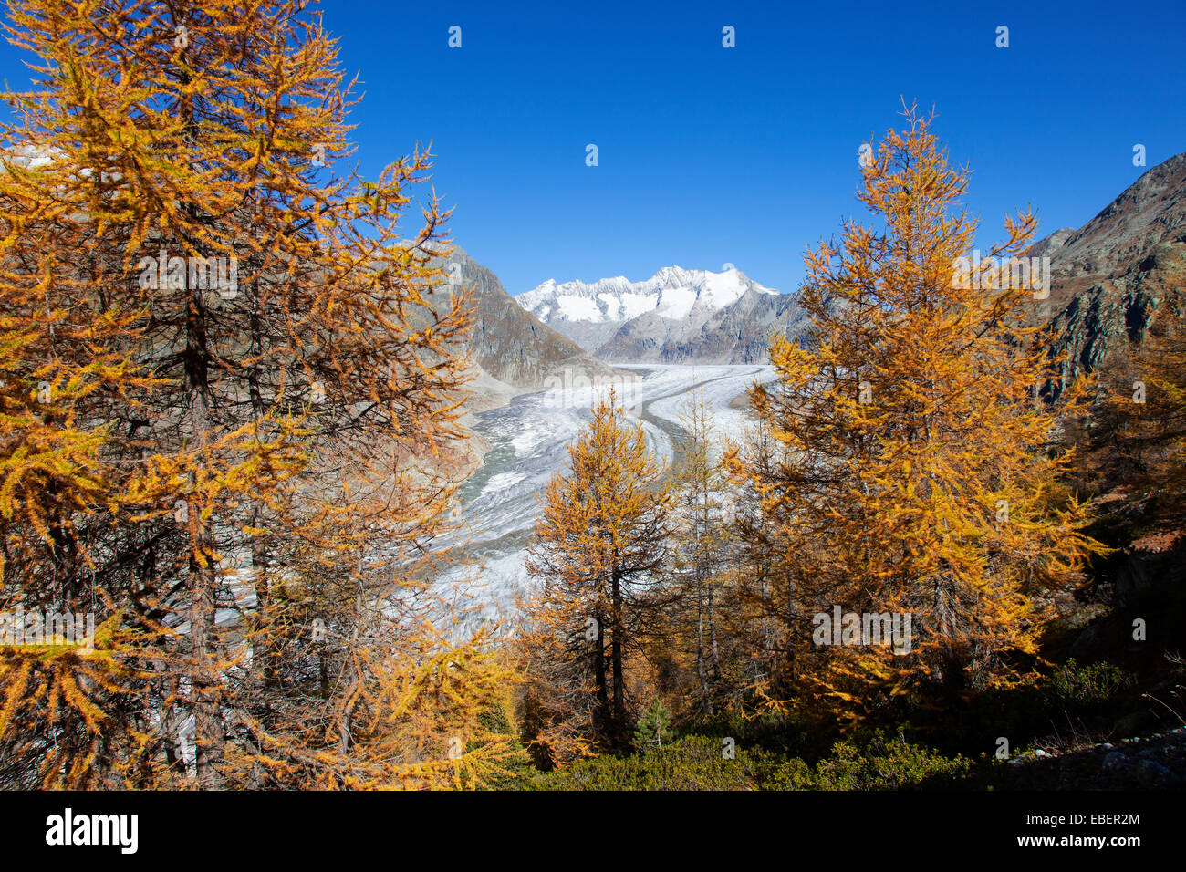 Aletsch Glacier, Switzerland Stock Photo