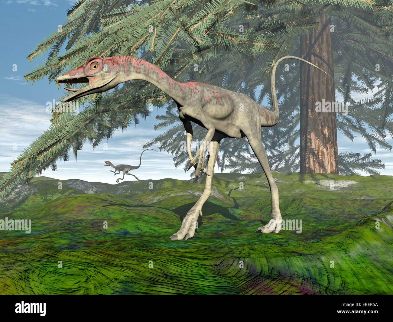 Compsognathus dinosaur walking on the grass under fir tree by day - 3D render Stock Photo