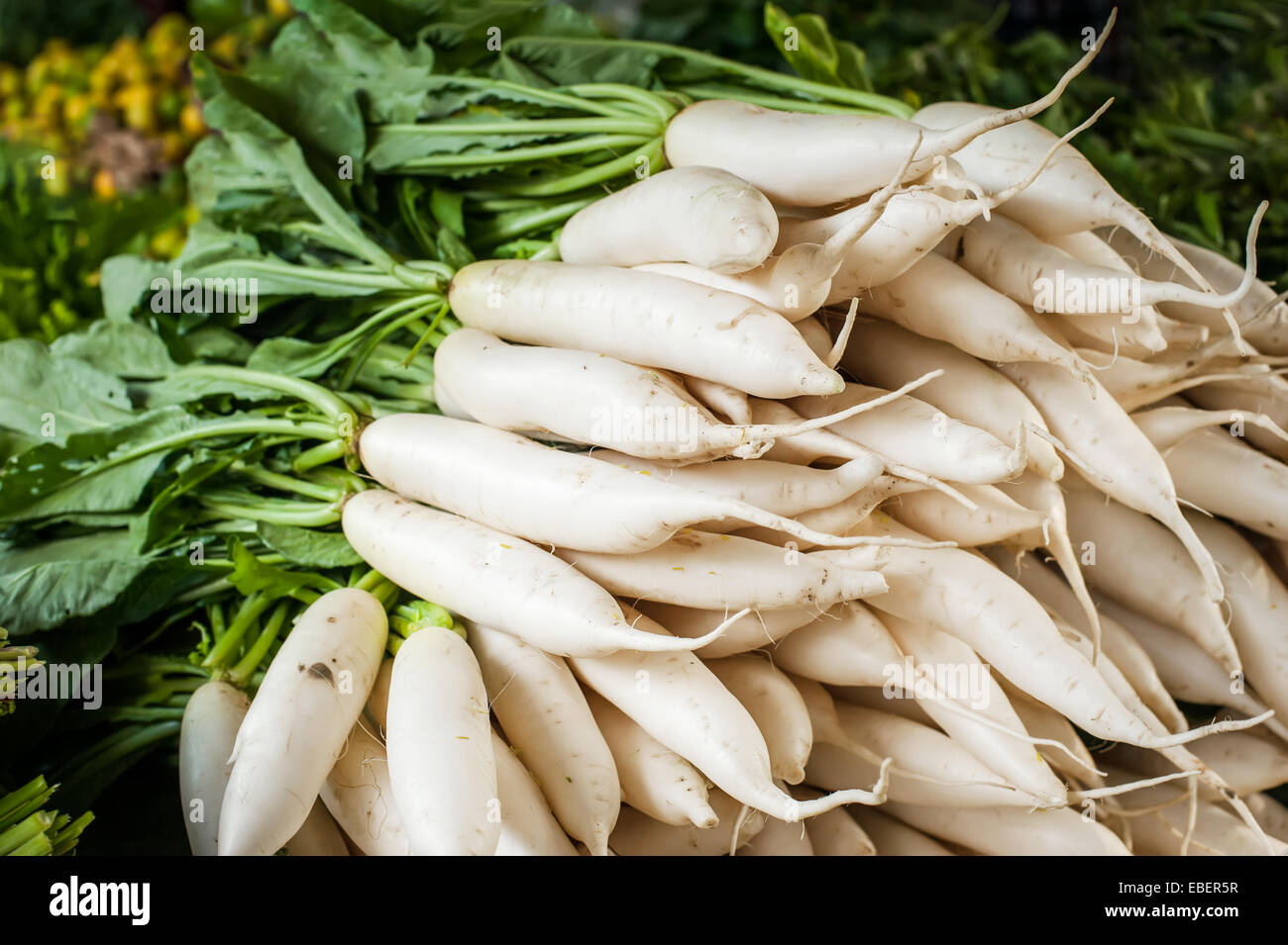 Organic local daikon radish vegetables for sale at outdoor asian marketplace Stock Photo