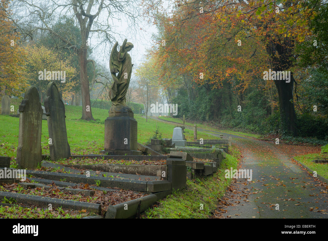 Moody autumn afternoon at Brighton Borough cemetery, East Sussex, England. Stock Photo
