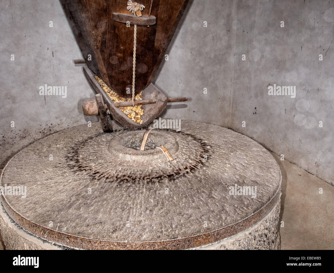 Milling flour from sweet chestnuts. Note - the air is filled with flour, the millstone revolving and the chestnuts being shaken. Stock Photo