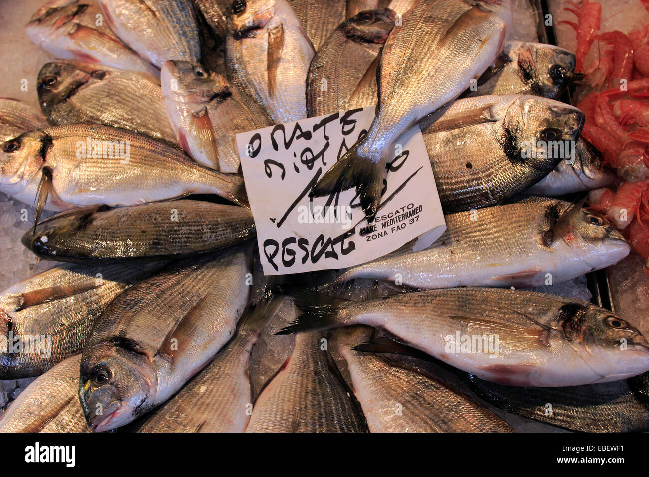 Venice Italy Rialto fish market fresh fish and seafood Stock Photo Alamy