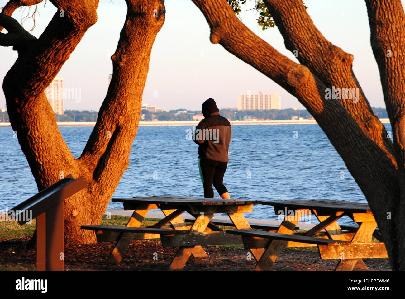 Lady walks the shore line at sunrise,Tampa Bay,Florida U.S.A. Stock Photo