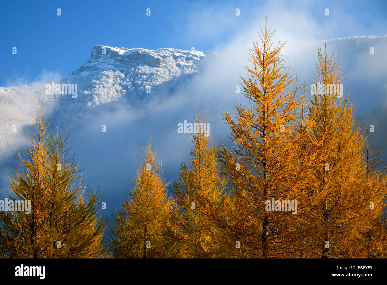 Late autumn morning with frosty Klak peak in Mala Fatra, Slovakia Stock Photo