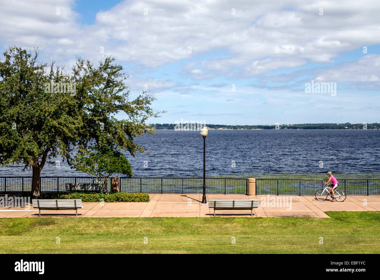 Clermont Florida,Waterfront Park,public,Lake Minneola,South Lake Trail
