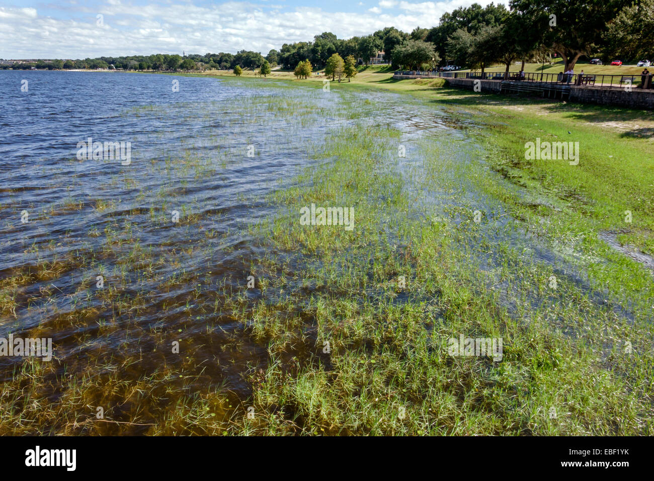 Florida clermont waterfront park public hires stock photography and