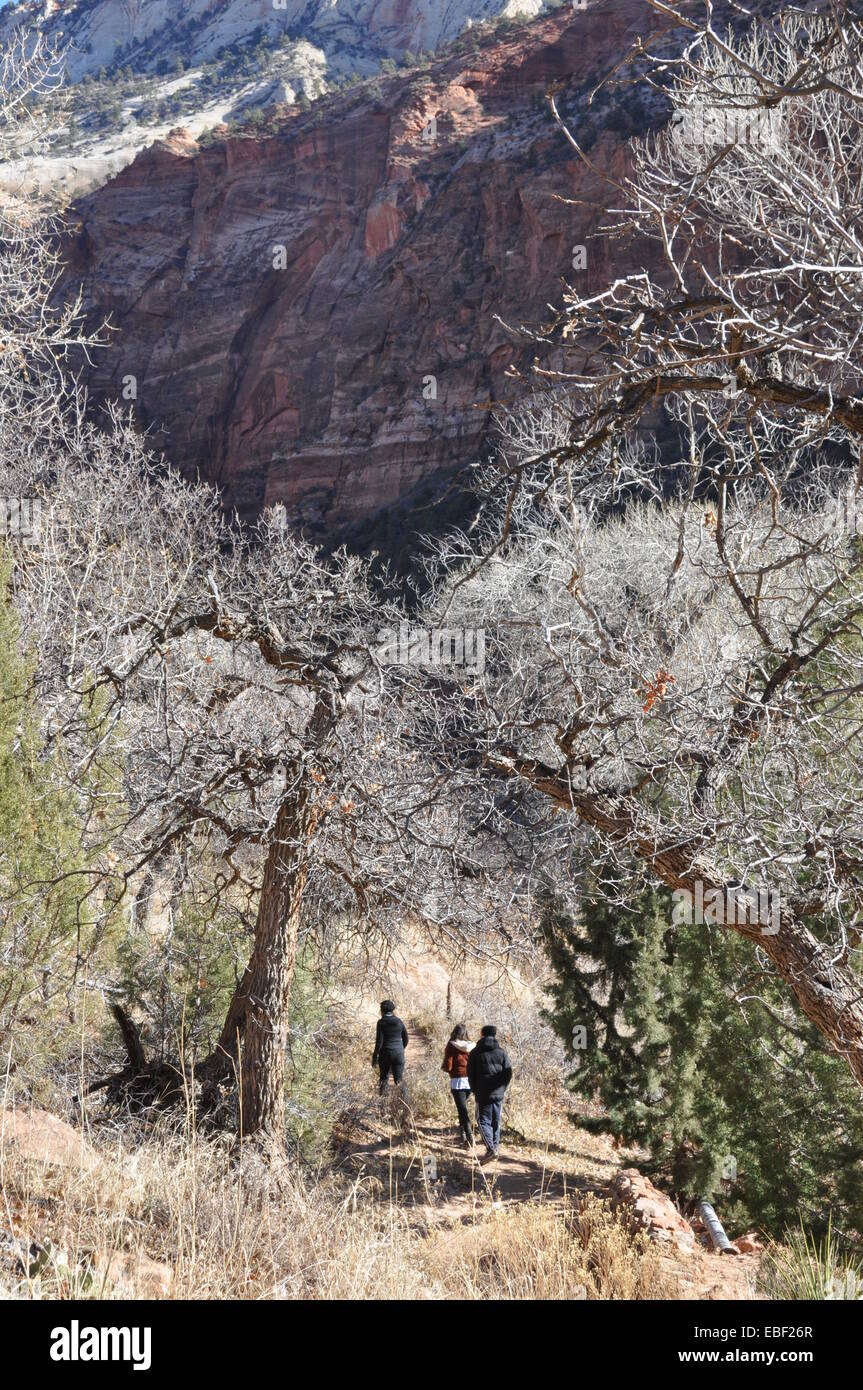 Hikers in Zion National Park, Utah. Stock Photo