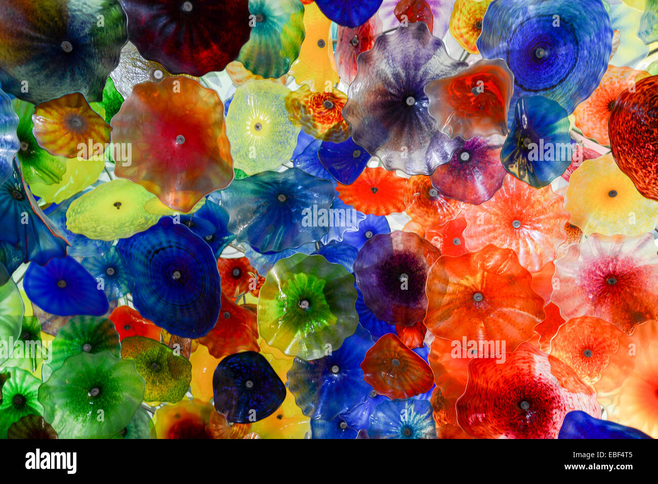 Hand Blown Glass Flower Ceiling at the Bellagio Hotel by Artist Dale Chihuly Stock Photo