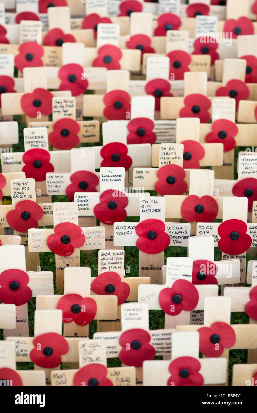 To All. Remembrance crosses and poppies Stock Photo