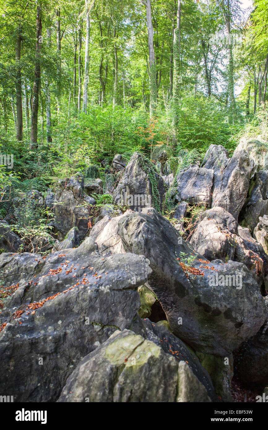 Nature reserve Felsenmeer, means 'Ocean of rocks', Sauerlandpark, Hemer, Sauerland region, North Rhine-Westphalia, Germany Stock Photo