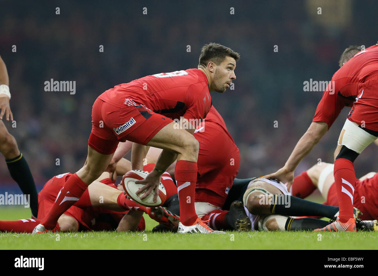 Cardiff, UK. 29th Nov, 2014. Rhys Webb of Wales - Autumn Internationals - Wales vs South Africa - Millennium Stadium - Cardiff - Wales - 29th November 2014 - Picture Simon Bellis/Sportimage. Credit:  csm/Alamy Live News Stock Photo