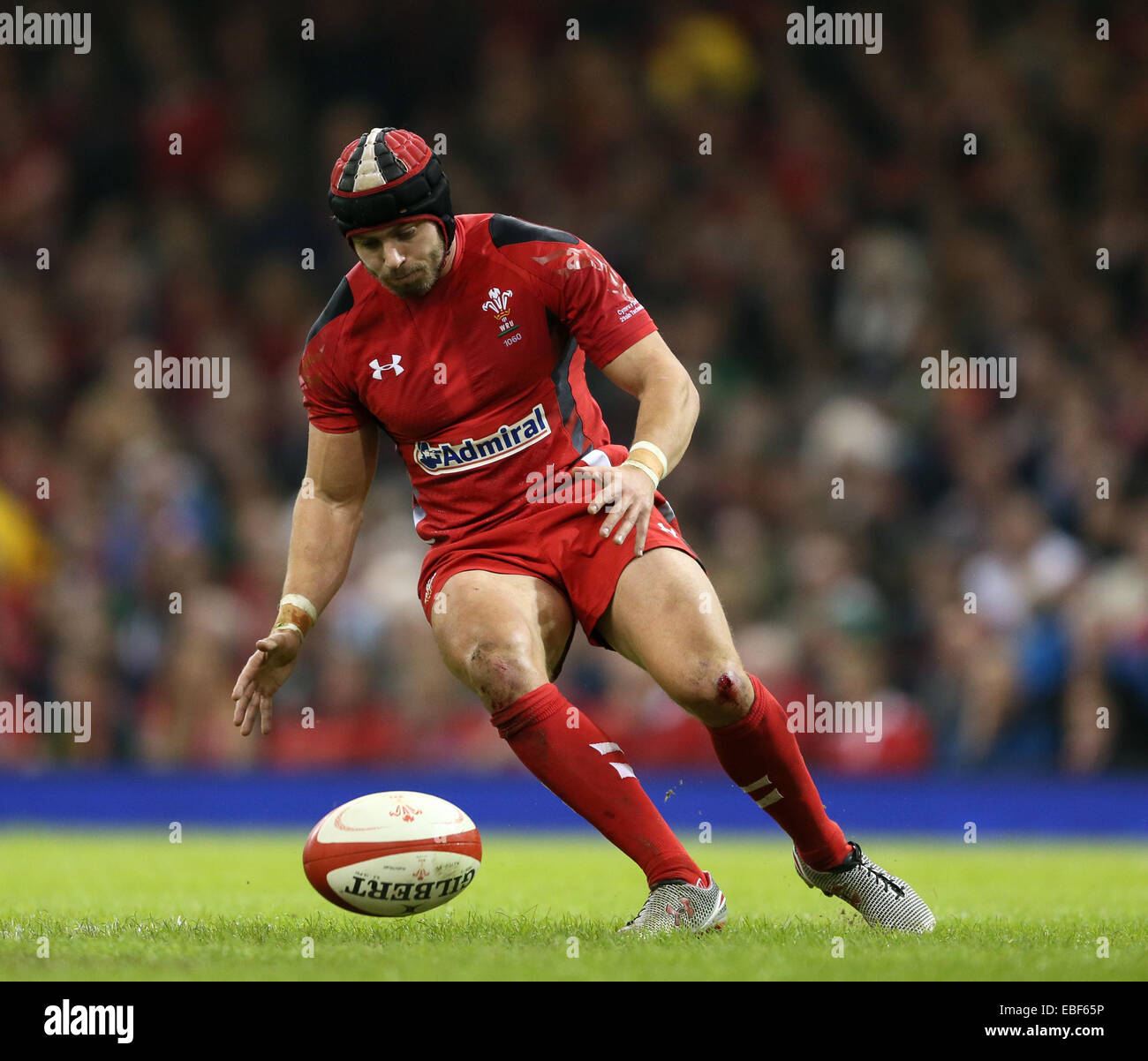 Leigh halfpenny rugby wales hires stock photography and images Alamy