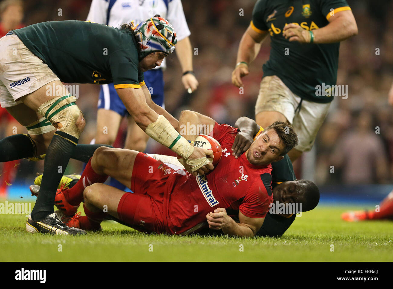 Cardiff, UK. 29th Nov, 2014. Rhys Webb of Wales is held up just short of the try line - Autumn Internationals - Wales vs South Africa - Millennium Stadium - Cardiff - Wales - 29th November 2014 - Picture Simon Bellis/Sportimage. Credit:  csm/Alamy Live News Stock Photo