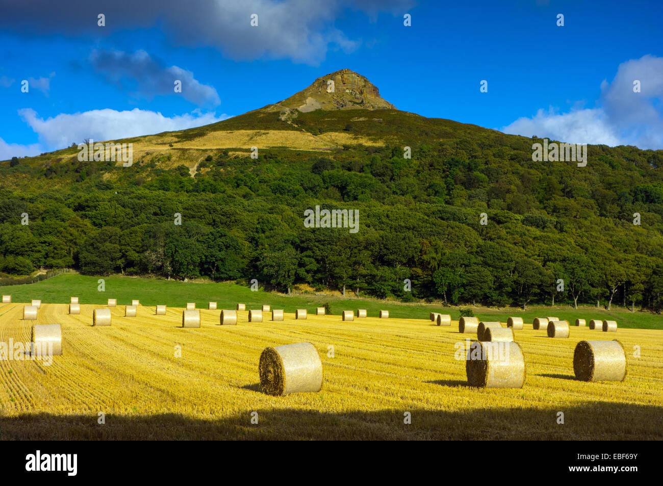 Roseberry Topping with straw bales, Cleveland, North Yorkshire Stock