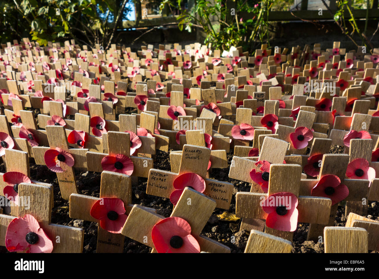 Small wooden crosses with poppies, First World War memorial Stock Photo
