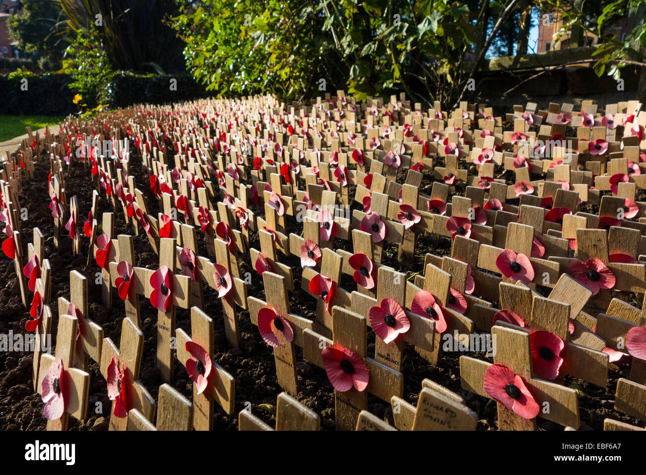 Small wooden crosses with poppies, First World War memorial Stock Photo