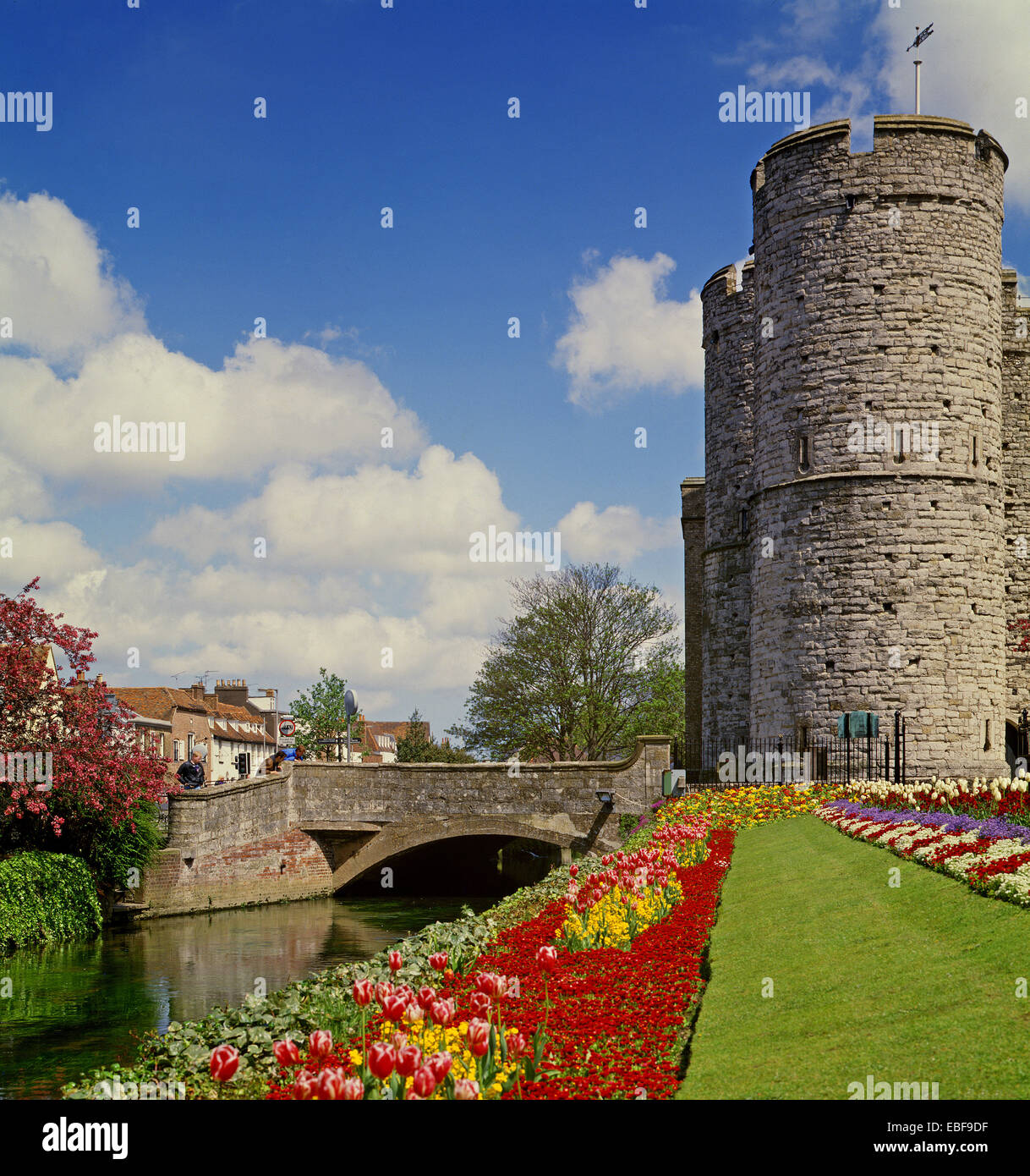 Westgate Gardens and tower Canterbury, Kent Stock Photo Alamy