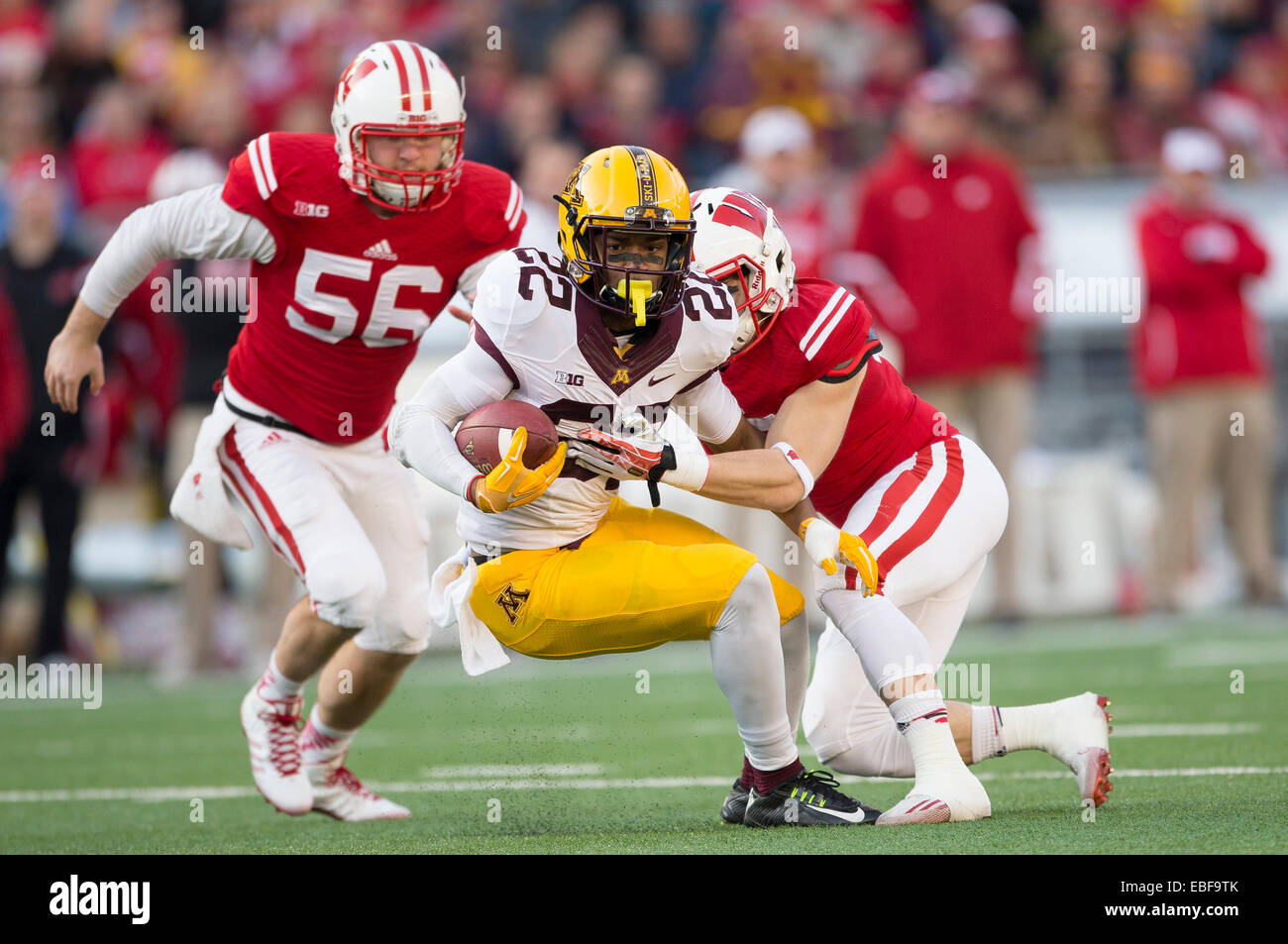 November 29, 2014: Minnesota Golden Gophers wide receiver Jeff Borchardt #22 is tackled by two Badgers during the NCAA Football game between the Minnesota Golden Gophers and the Wisconsin Badgers at Camp Randall Stadium in Madison, WI. Wisconsin defeated Minnesota 34-24. John Fisher/CSM Stock Photo