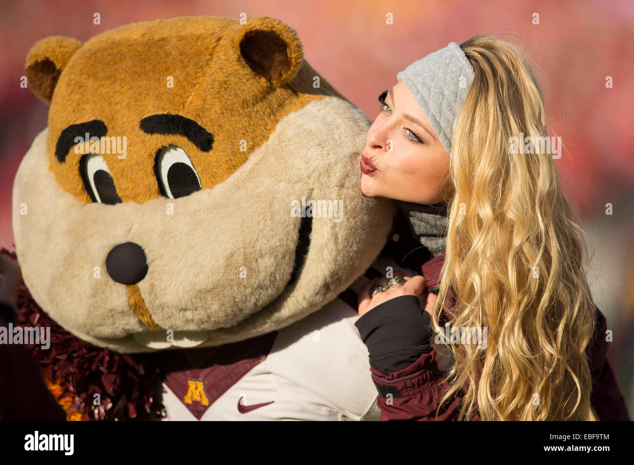 Madison, WI, USA. 29th Nov, 2014. Minnesota's mascot Goldy poses with a Minnesota cheerleader prior to the start of the NCAA Football game between the Minnesota Golden Gophers and the Wisconsin Badgers at Camp Randall Stadium in Madison, WI. John Fisher/CSM/Alamy Live News Stock Photo