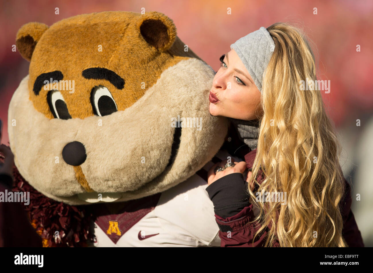 November 29, 2014: A Minnesota cheerleader jumps onto the back of mascot Goldy and blows him a kiss before the NCAA Football game between the Minnesota Golden Gophers and the Wisconsin Badgers at Camp Randall Stadium in Madison, WI. Wisconsin defeated Minnesota 34-24. John Fisher/CSM Stock Photo