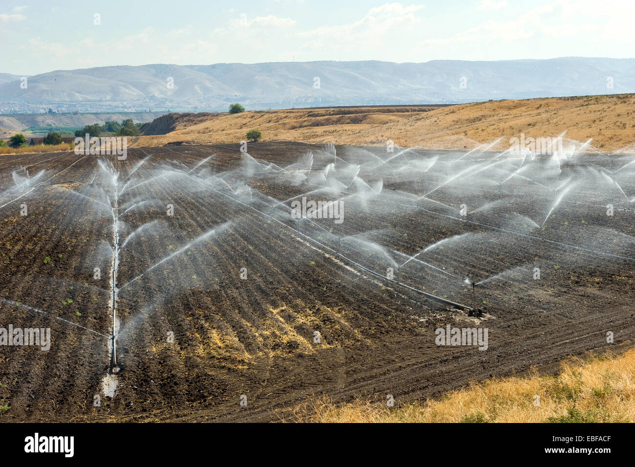 Irrigating farmland in the Jordan valley in Israel between the Sea of ...