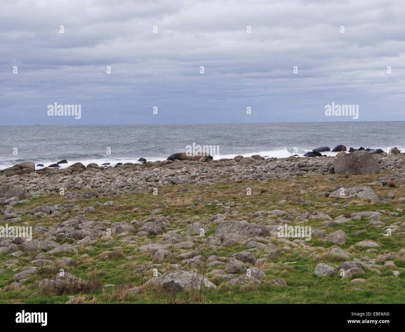 A dark day with autumn or winter storms on Jaeren, west coast of Norway near Stavanger waves breaking over stones and beach Stock Photo
