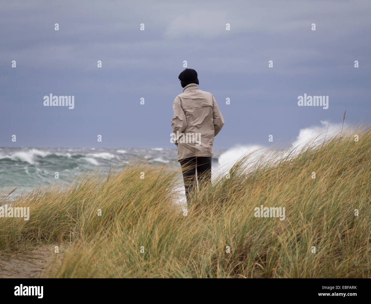 The old man and the sea, looking to the horizon of the North sea on a stormy day, the sand dunes along Jaeren western Norway Stock Photo
