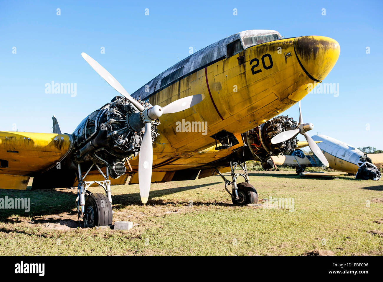 An old yellow painted Douglas DC-3 awaiting restoration or scrapping at an aviation junkyard in Florida Stock Photo