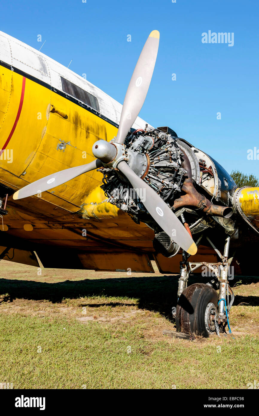 Without cowling and open to the elements, a Pratt & Whitney R-1830 Twin Wasp radial engine at an aviation junkyard in Florida Stock Photo