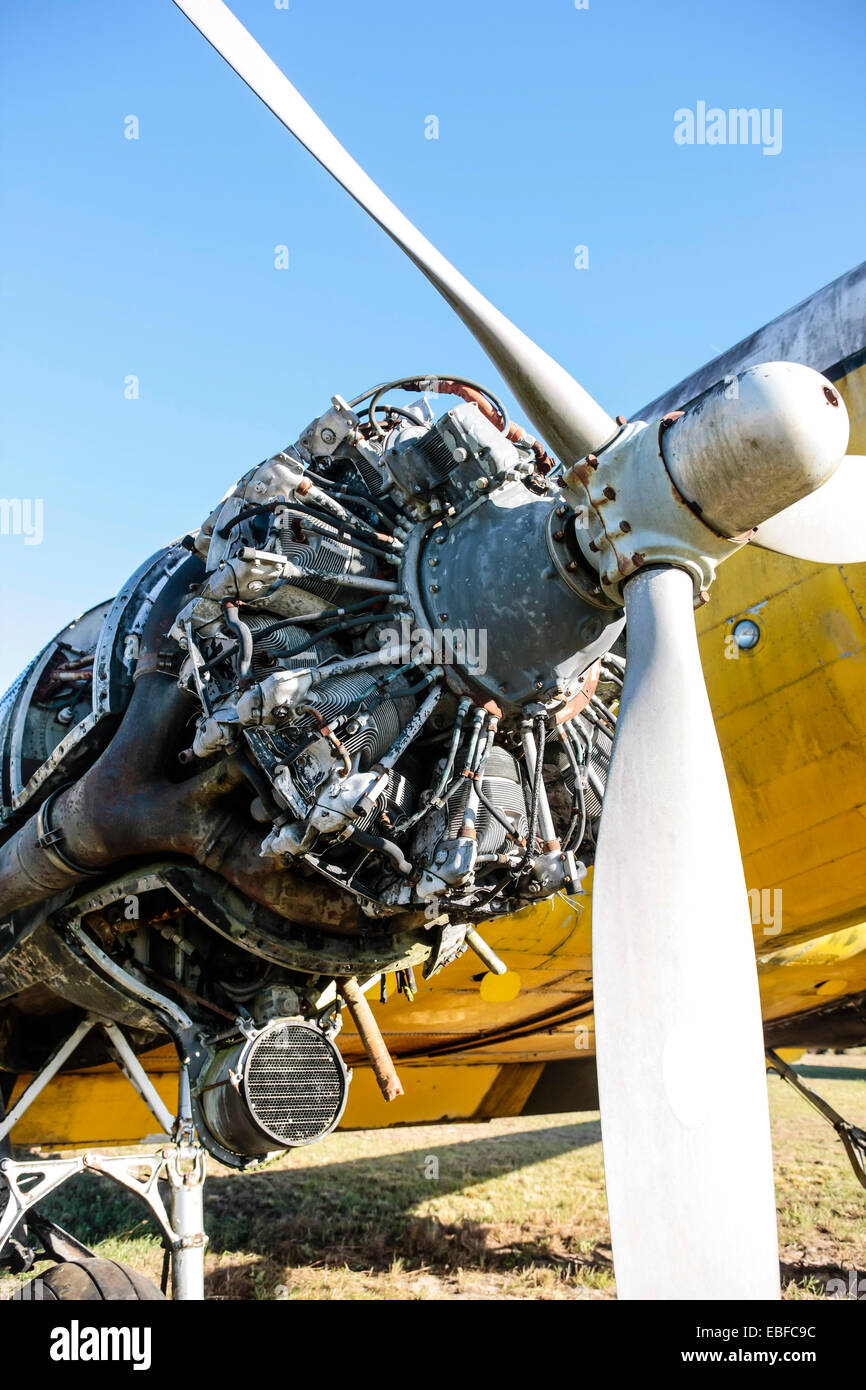 Without cowling and open to the elements, a Pratt & Whitney R-1830 Twin Wasp radial engine at an aviation junkyard in Florida Stock Photo