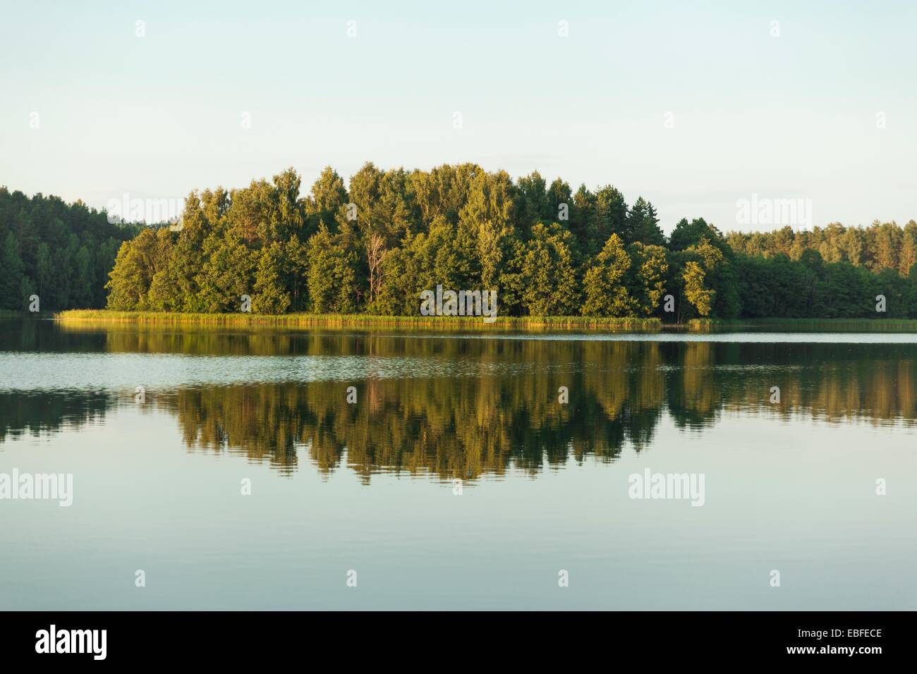 Landscape with trees and sky reflected in the lake Stock Photo - Alamy