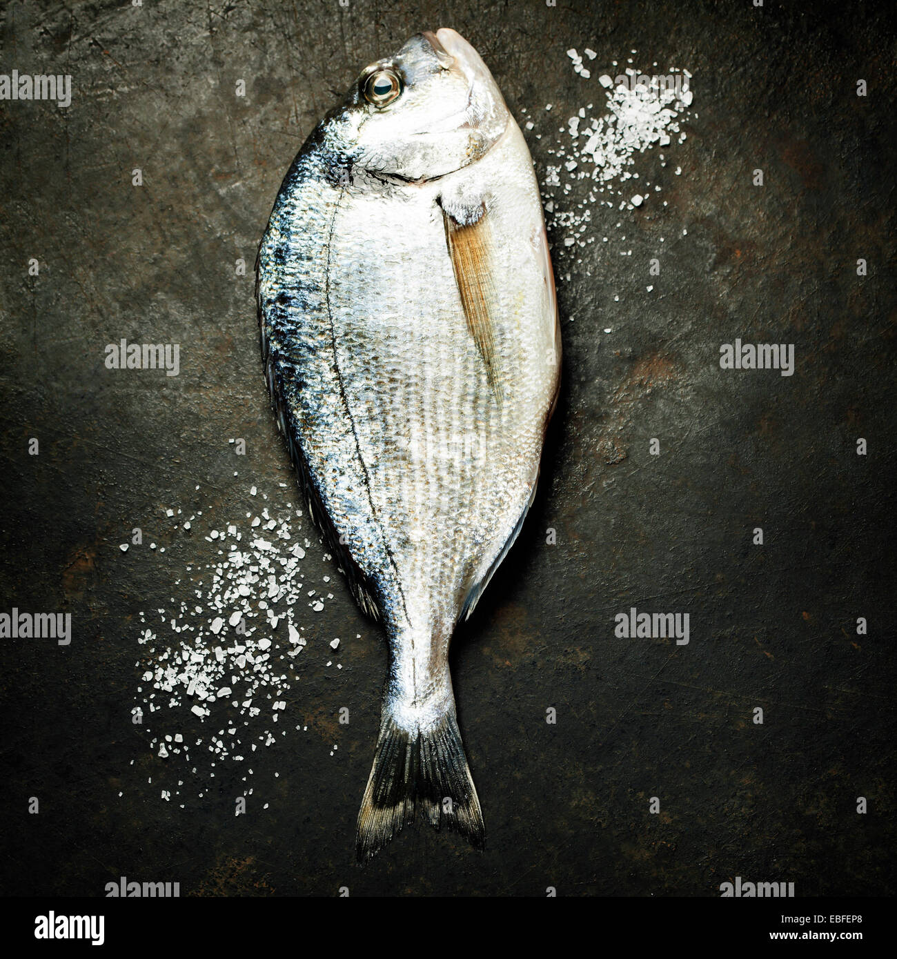 Delicious fresh fish on dark vintage background Stock Photo