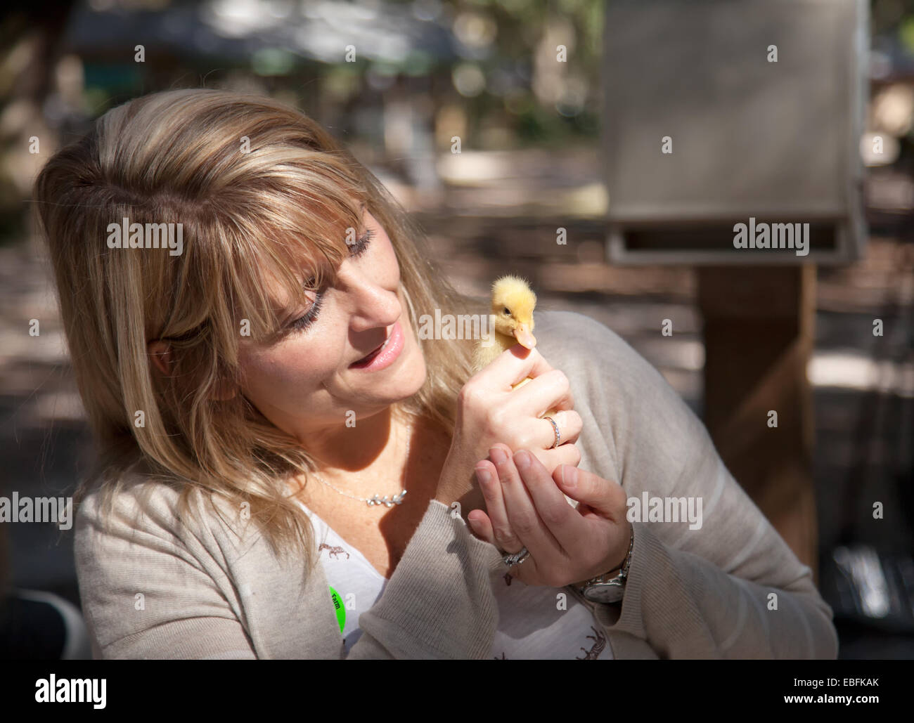 Woman holding baby duck Stock Photo
