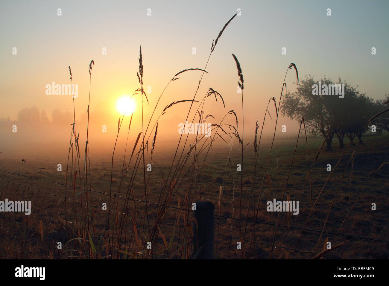 October Rural Sceans A pretty Autumn scene in a rural area Stock Photo - Alamy