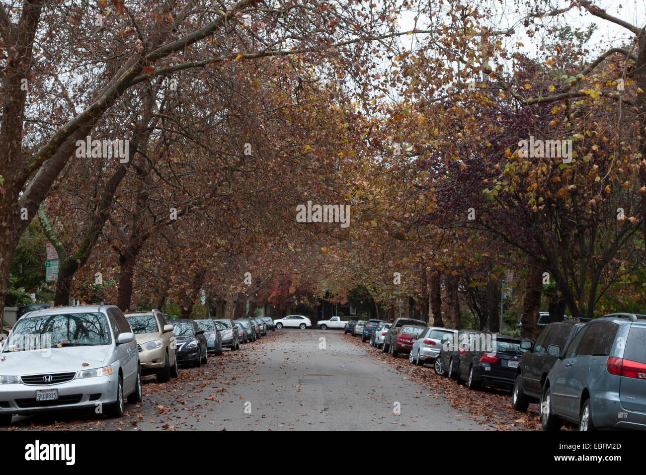 After the rain in Berkeley, California Stock Photo Alamy