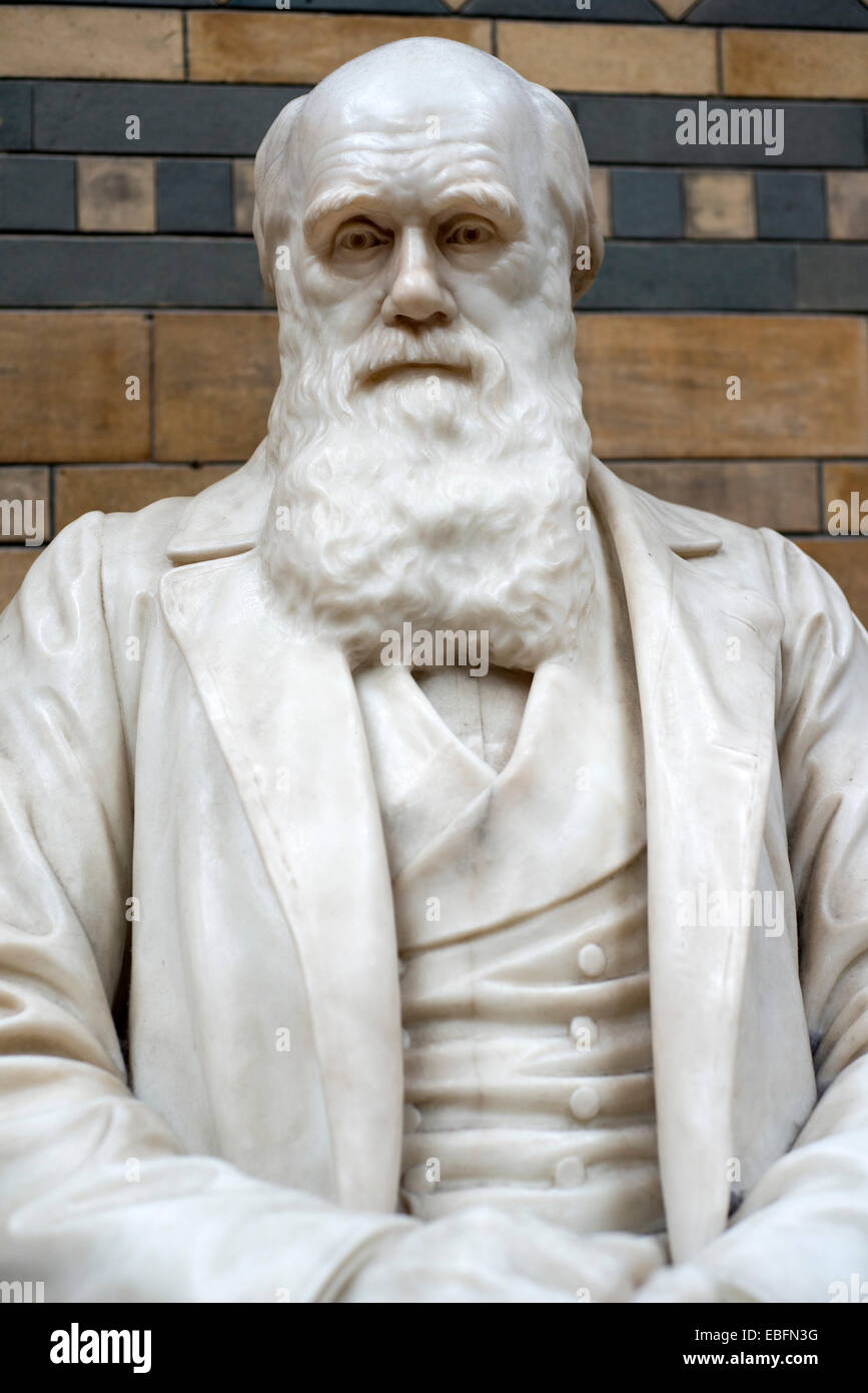 Statue of naturalist and geologist Charles Darwin at the Natural ...