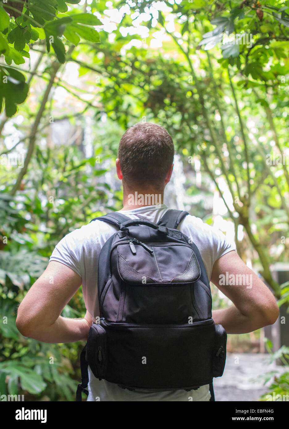 Tourist with backpack in the jungle. Stock Photo