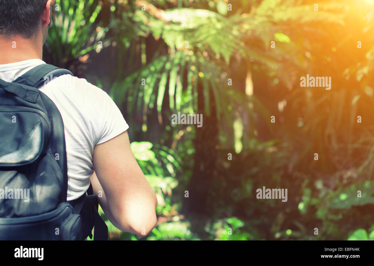 Tourist with backpack in the jungle. Stock Photo