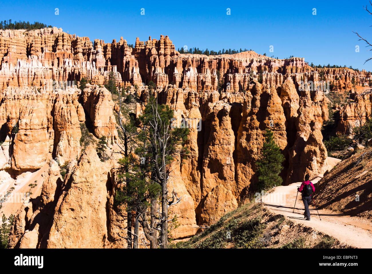 Female hiker on the Peekaboo Loop Trail, Bryce Amphitheater hoodoos in the background. Bryce Canyon National Park, Utah, USA. Stock Photo