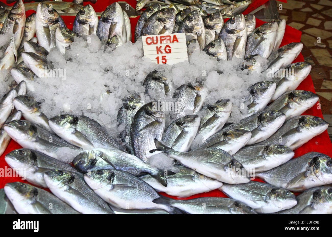 Snapper fish in ice on a market stall in Istanbul, Turkey Stock Photo