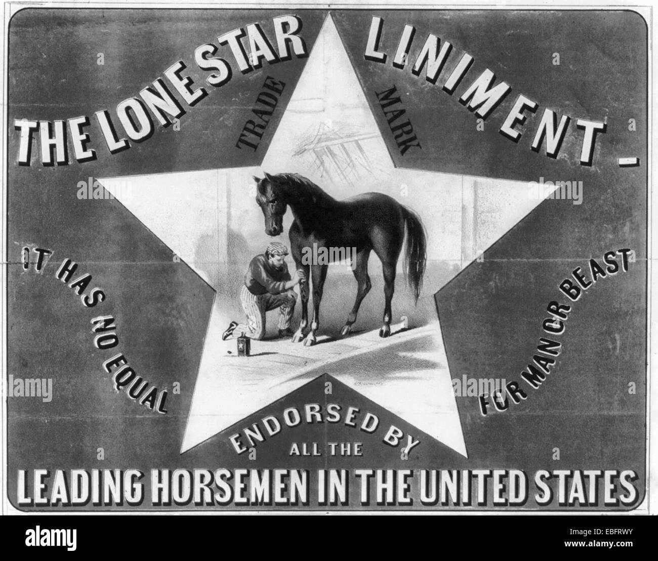 The Lone Star Liniment...has no equal for man or beast - Illustration of trainer rubbing down horse's leg, circa 1866 Stock Photo