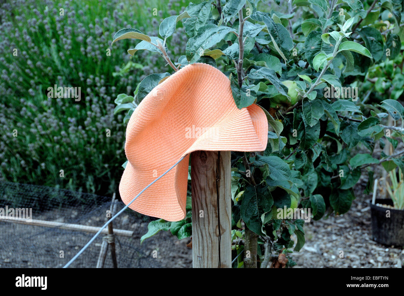Brightly coloured sun hat on post in garden, Chiswick House Kitchen Garden, London Borough of Houndslow. Stock Photo
