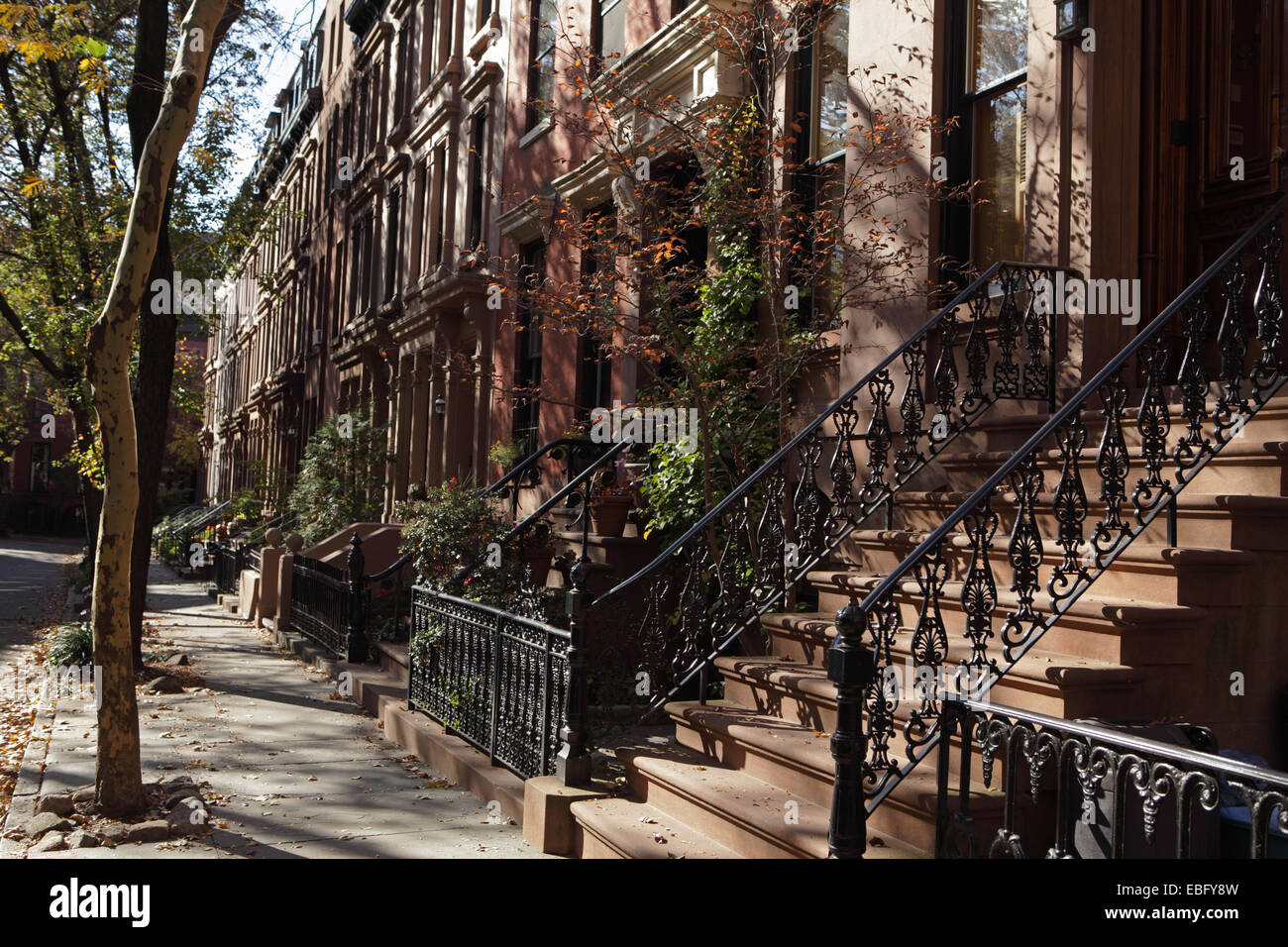 Brownstone townhouses in Brooklyn Heights historic district autumn Stock Photo