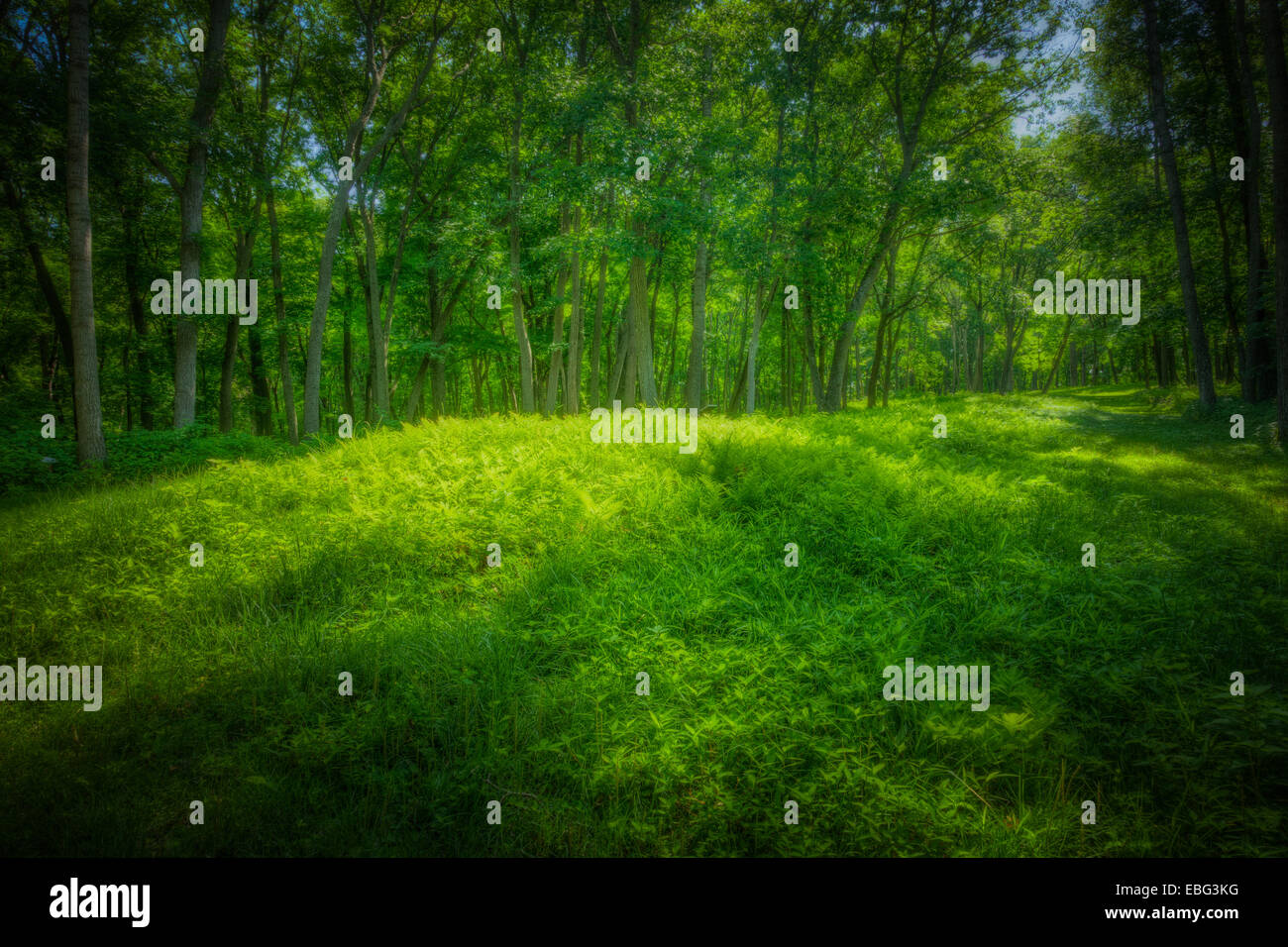 Native American effigy mound. Effigy Mounds National Monument, Iowa. Stock Photo