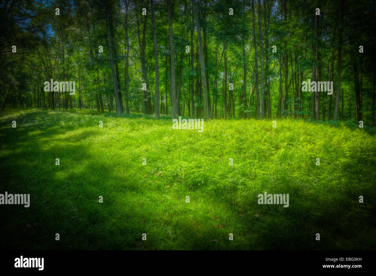 Effigy mound. Effigy Mounds National Monument. Stock Photo